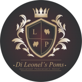 Di Leonels Poms